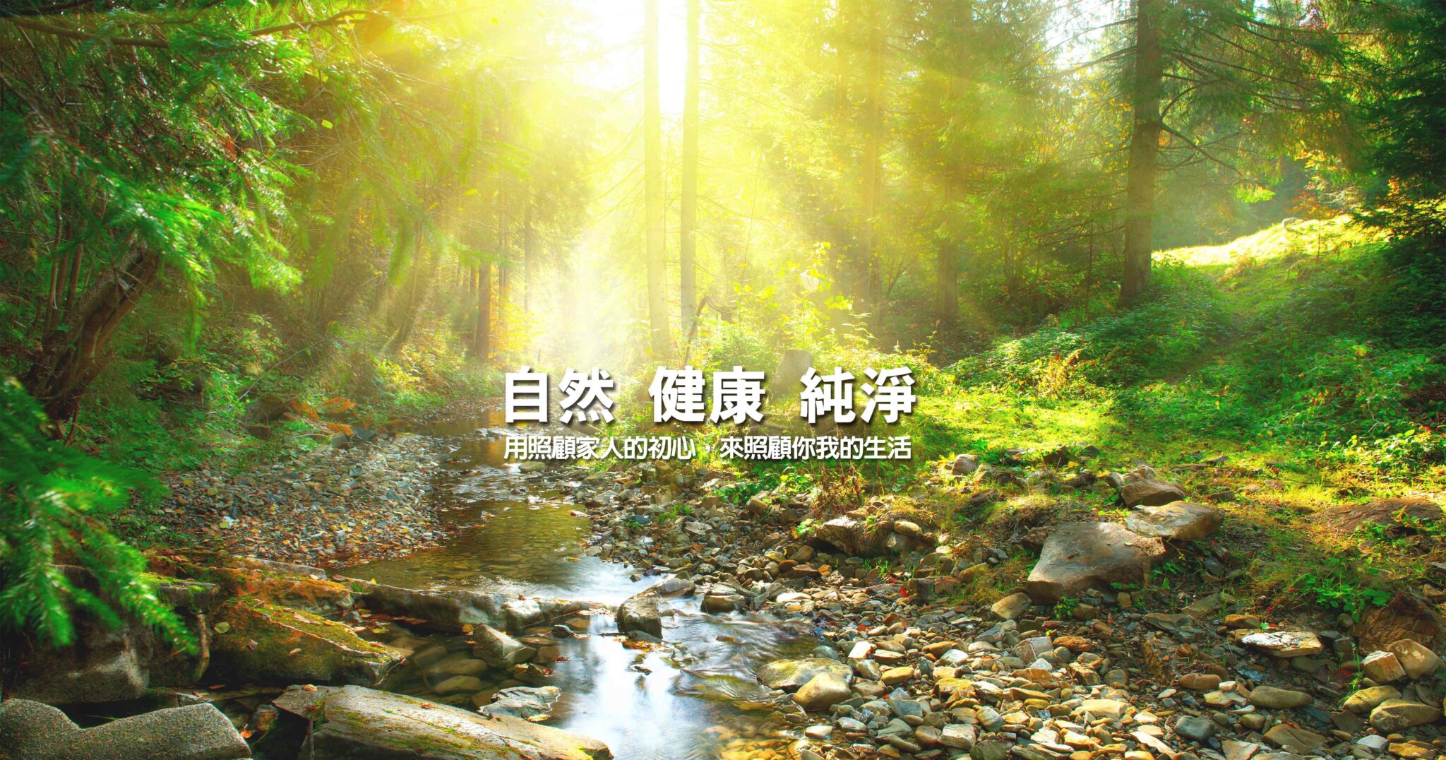 banner03